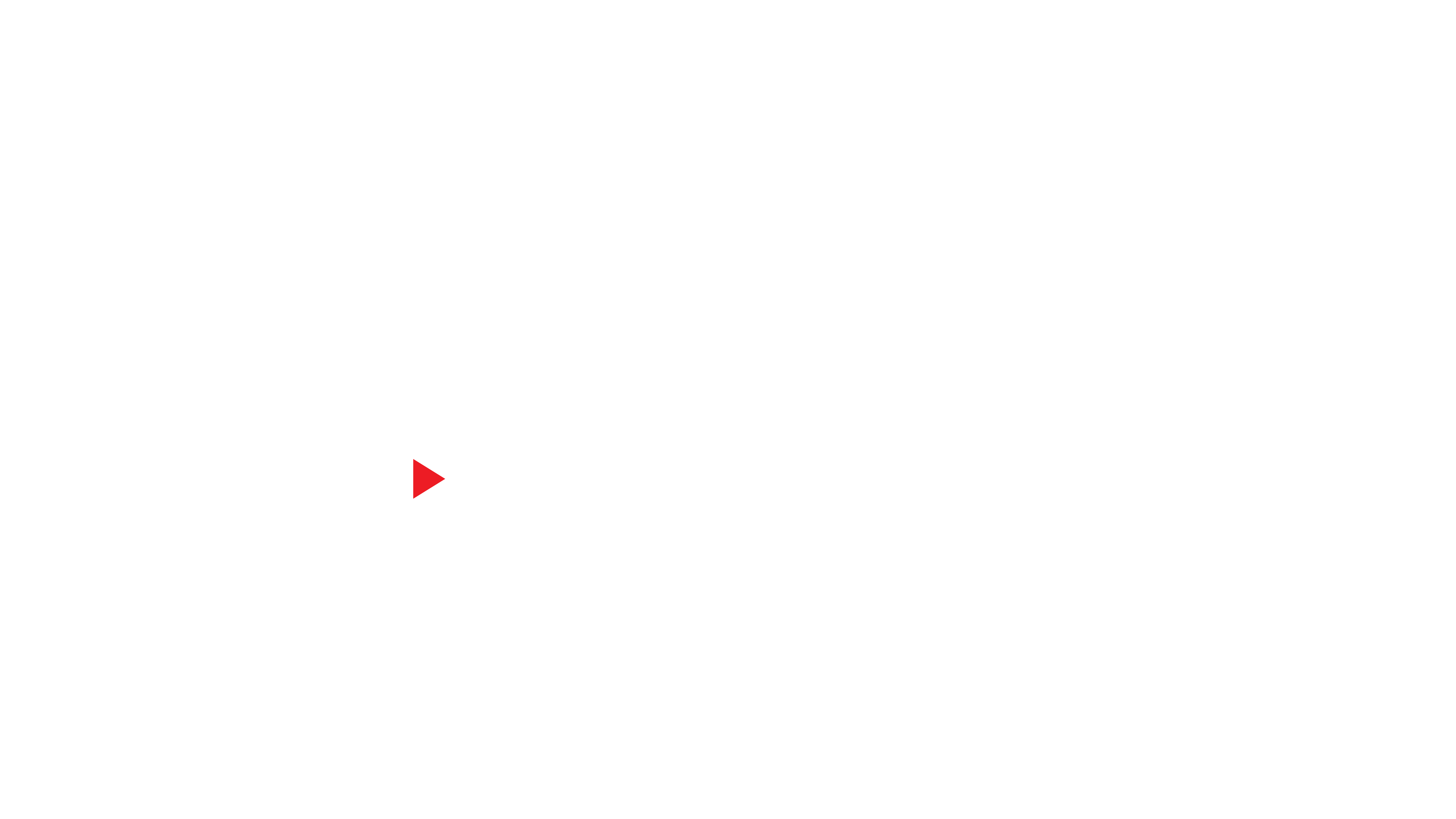 Leoron Logo
